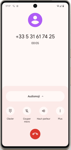 Web call back Apenday